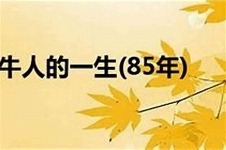 1985年一生的感情运势