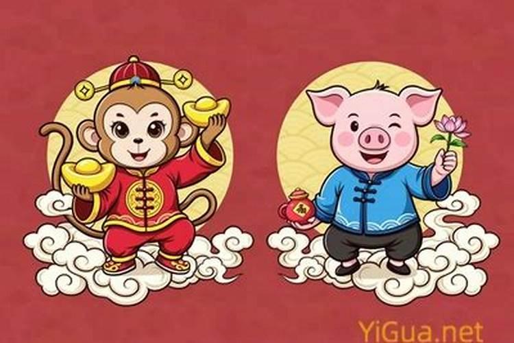 属猴的和猪的八字合吗？
