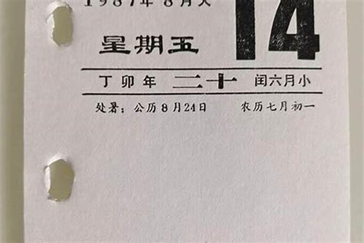 87年男今年的运程