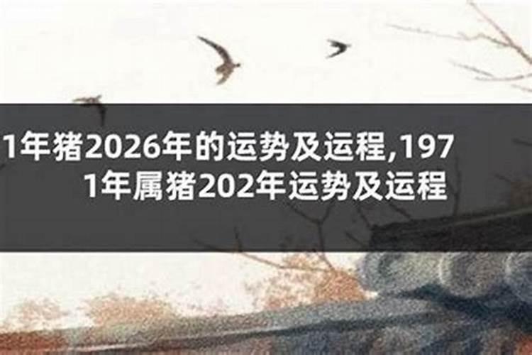 1992年女性2026年运程