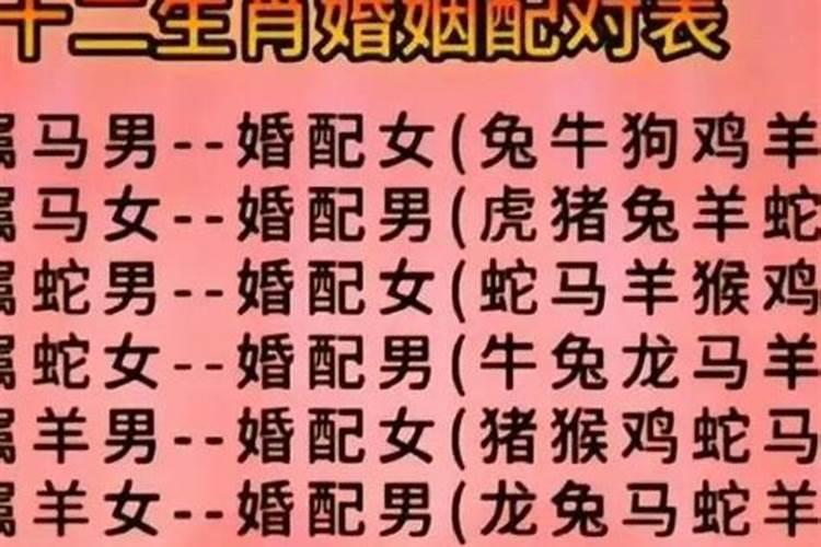 男狗女猪属相婚配可以吗？