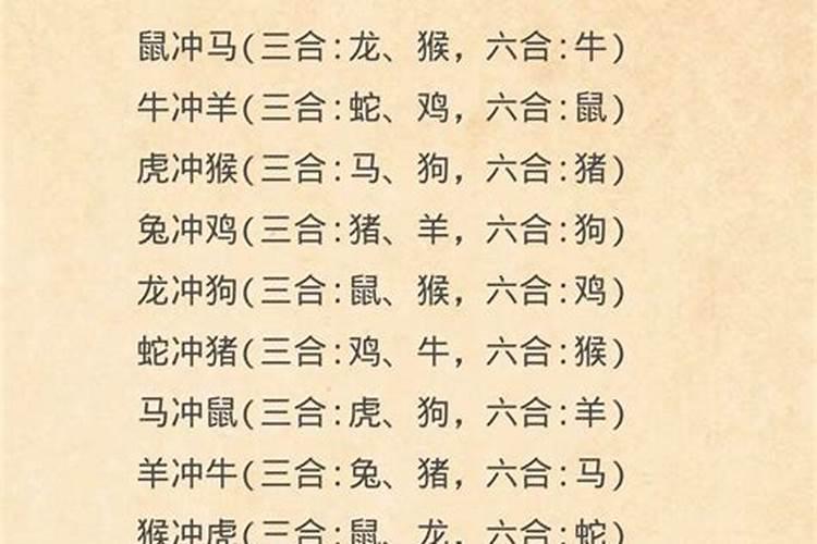 十二生肖里面羊和狗八字合不合