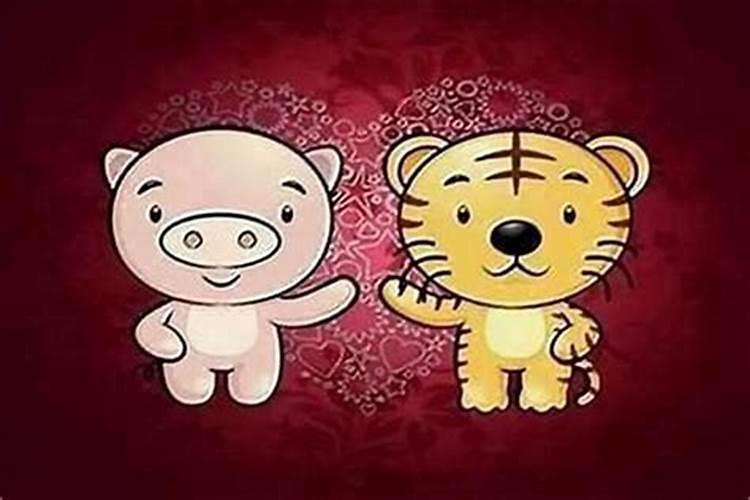 属虎和属什么合婚？