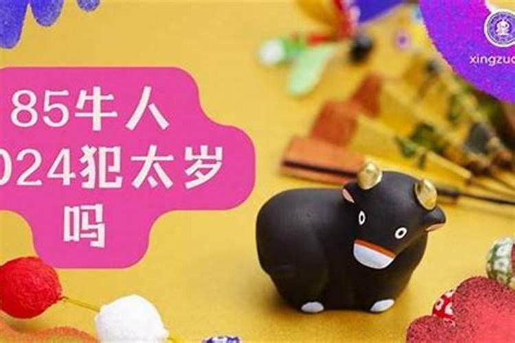 85年属牛人在2026年运程
