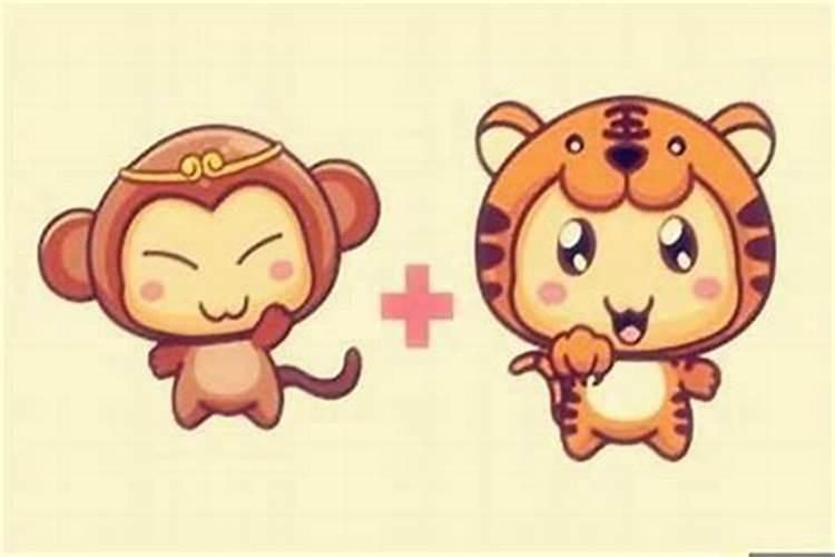 男虎女猴合婚吗？