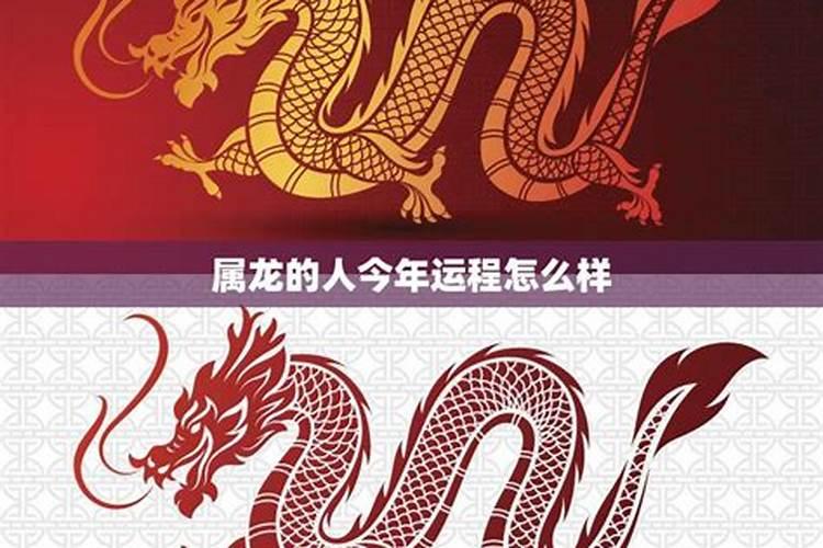 龙年的人今年的运势