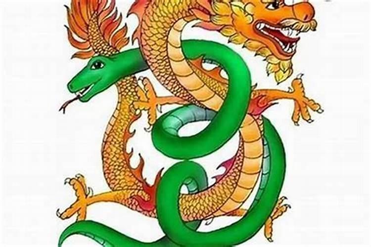 女属蛇合男属龙合婚吗？
