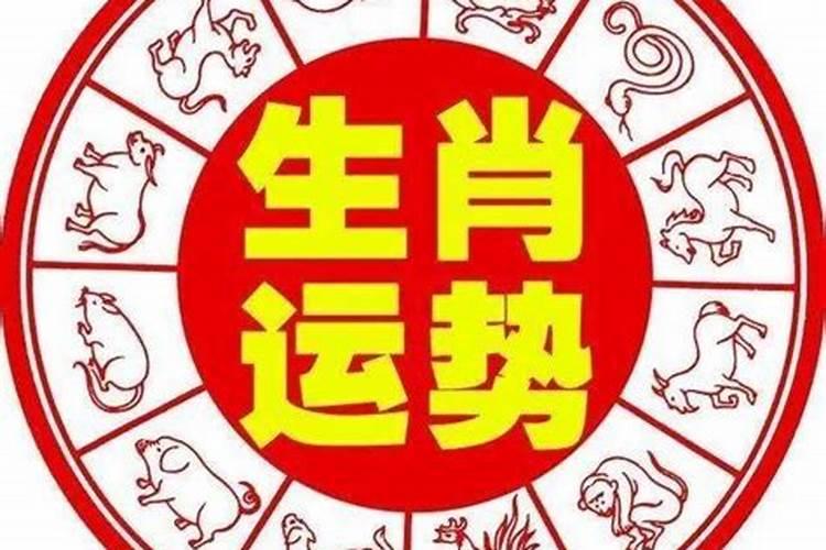 十月9号生肖运势如何？