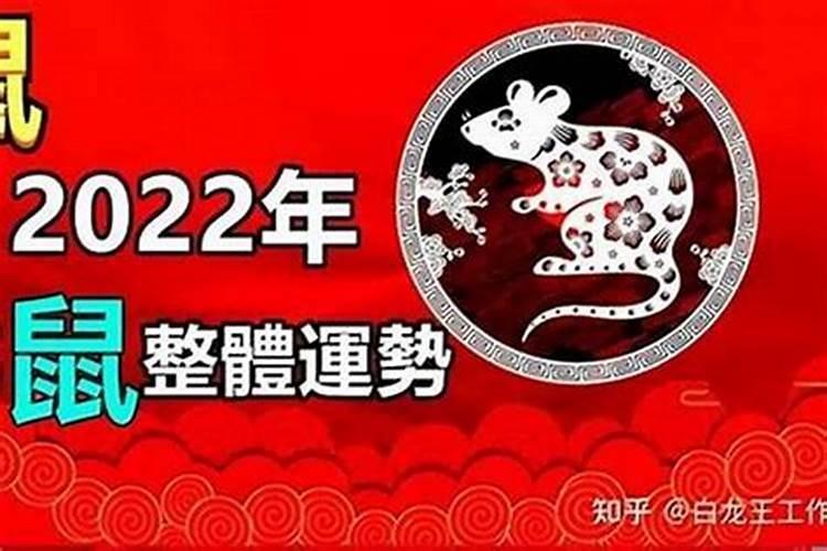 1996年鼠女2026年运程
