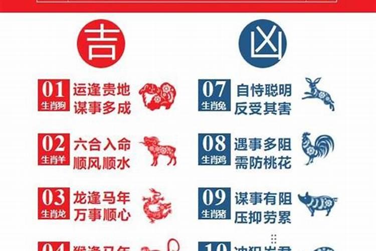 巨天中谈2026年运程