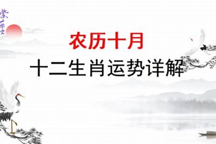 十二生肖十月初一的财运