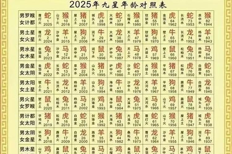 12生肖运程怎么看的？
