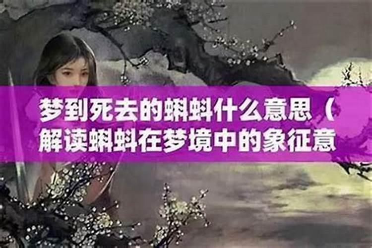 梦到奶奶死了又活了过来