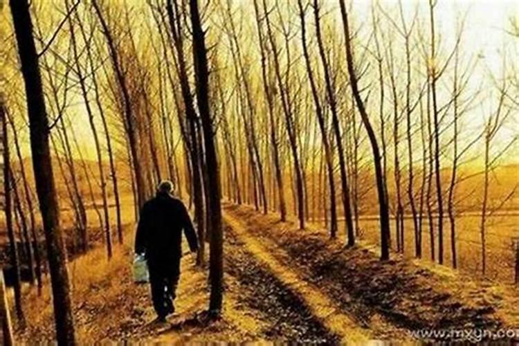 梦到死去的叔叔在砍树