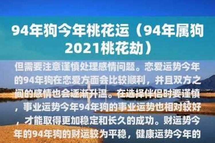 94年狗人今年六月运势
