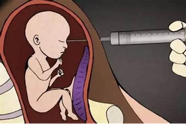 被堕胎的婴儿很痛苦