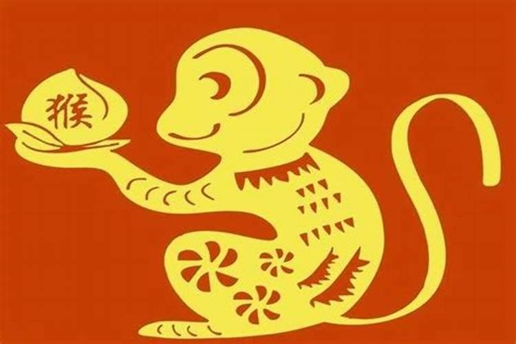 属猴的怎么提升财运？