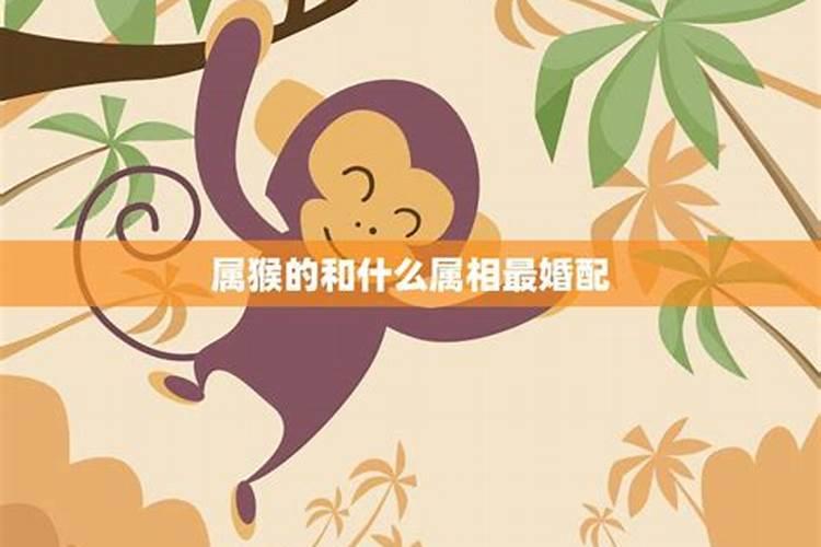 属猴和属相什么最婚配？