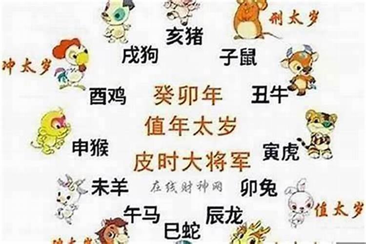 属鼠的哪年犯太岁？
