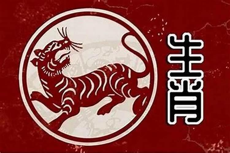 女孩属虎找对象属什么合婚？