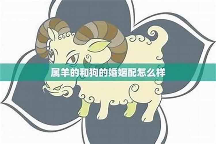 羊与羊属相婚配可以吗？