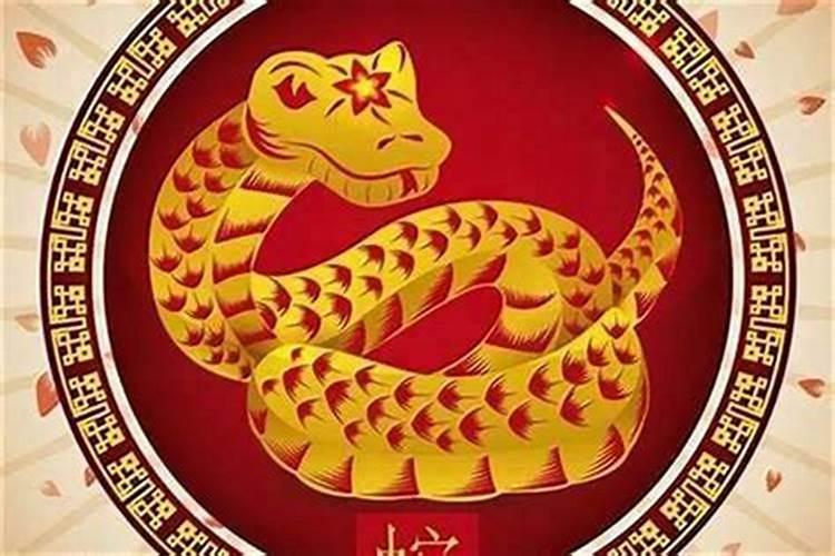 属蛇今年犯太岁应怎样避开？