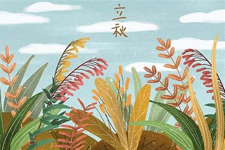 立春和立秋的特点和风俗