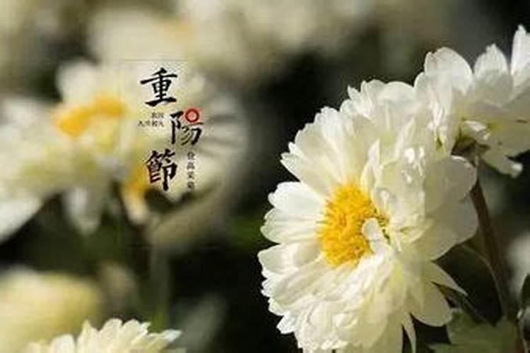 重阳节出生的人命硬