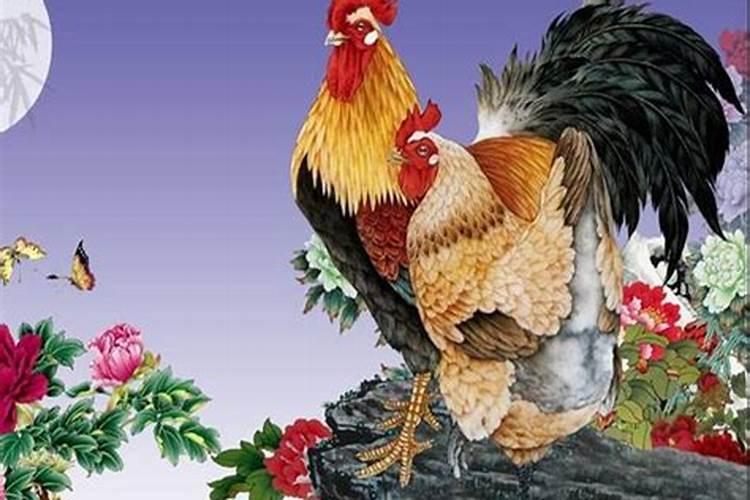 属鸡的今年婚姻运势如何？