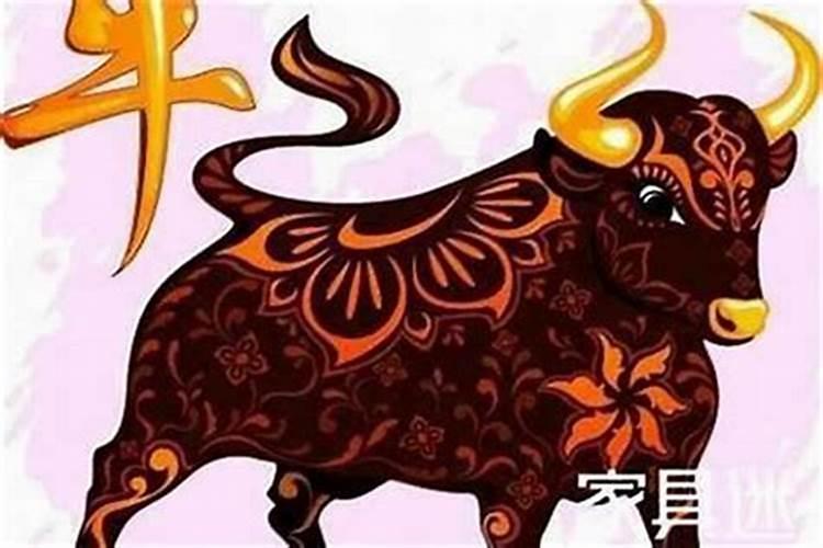 属牛人十月出生运势