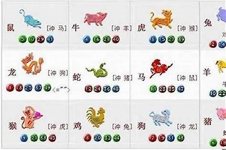 嫁错郎君悔当初八字不合是什么生肖？