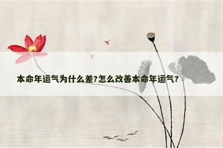 本命年怎么改变自己的运气？