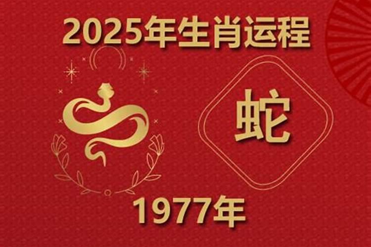 1977年属蛇人2026年运势怎样？