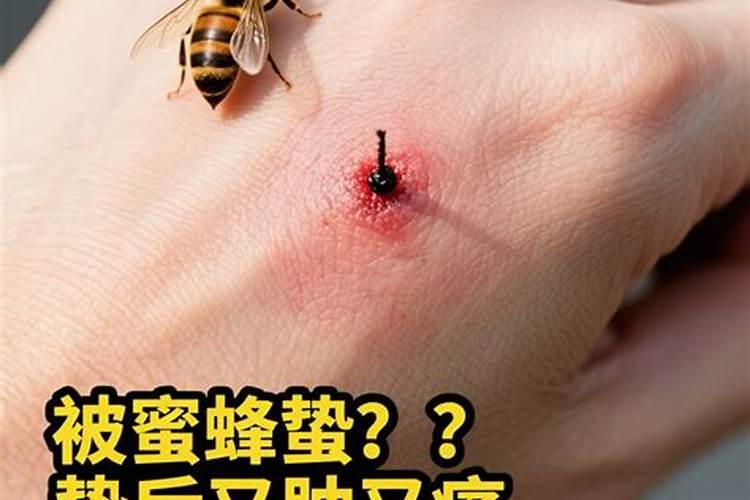 梦到被蜜蜂蛰是什么意思啊？