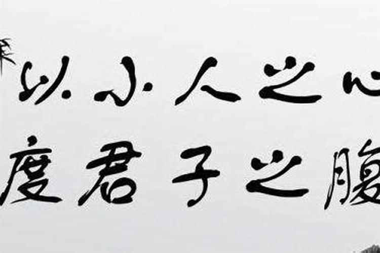 什么叫以小人之心度君子之腹？？