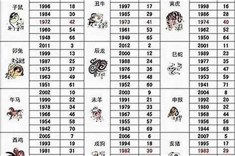 1971年属猪在2026年的运程