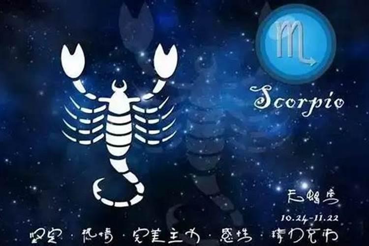 立夏天蝎座运势
