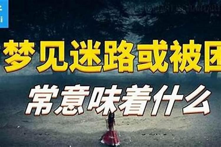 梦到蝎子什么征兆？