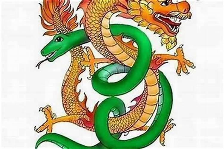 属相龙蛇属相婚配好吗？