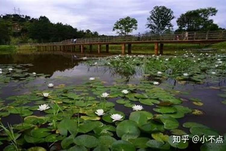 七月十五下雨烧纸能收到吗？