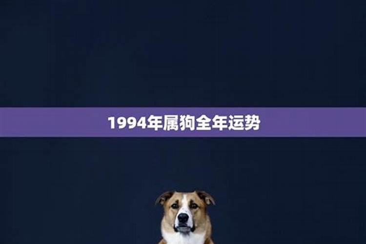 1994属狗月份出生运势及运程