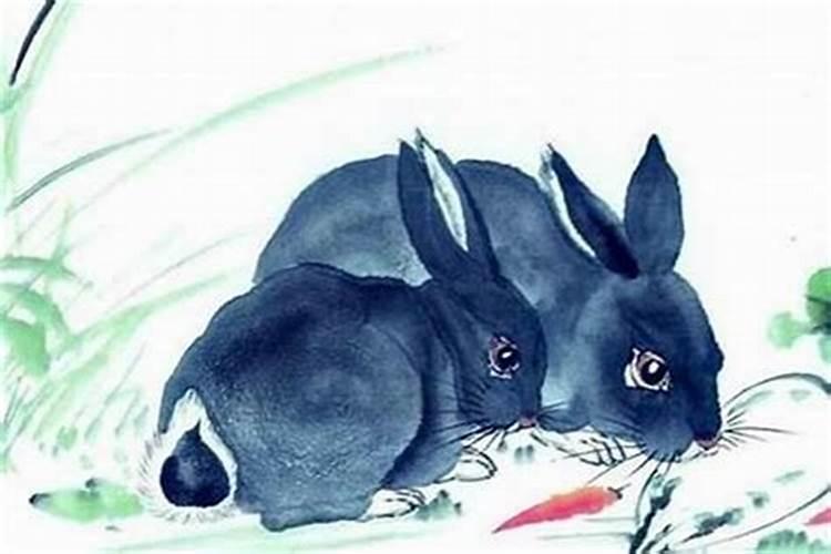 属兔六月生是童子命吗？