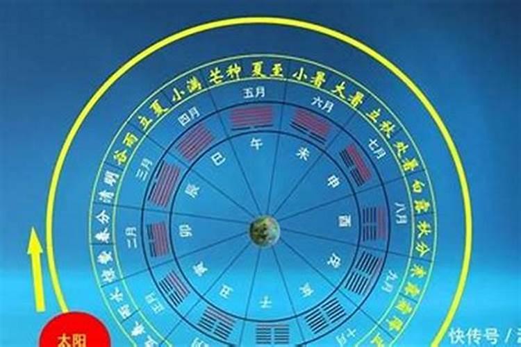 配偶星藏地支说明什么？
