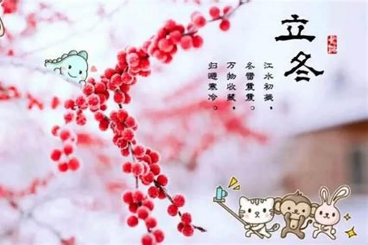 41年后的立冬是哪一天？