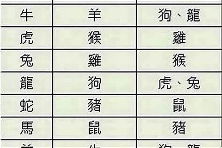属马和属猪八字合吗？