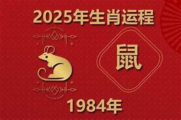 84年的鼠在2026年的运程