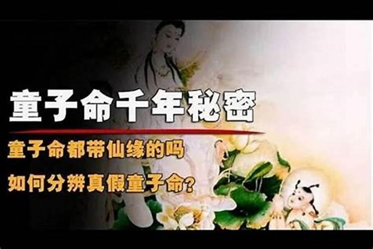 童子命的人都带有仙缘吗？