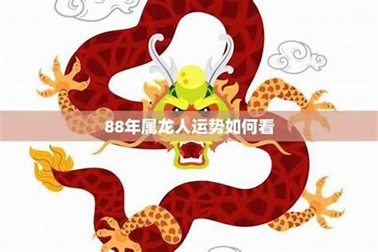 88年六月属龙2026年运势
