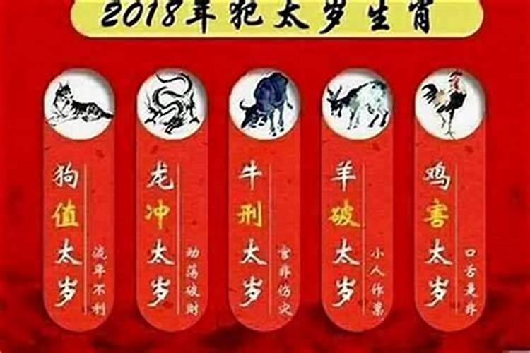属鸡什么生肖年是犯太岁的？