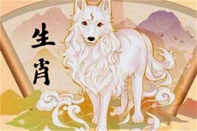 属狗怎样提高运势？